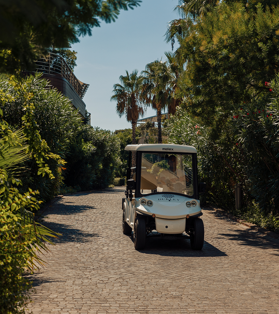 Business and Services